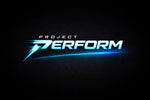 Project.perform
